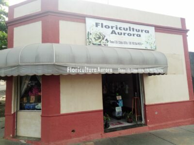 Floricultura Aurora
